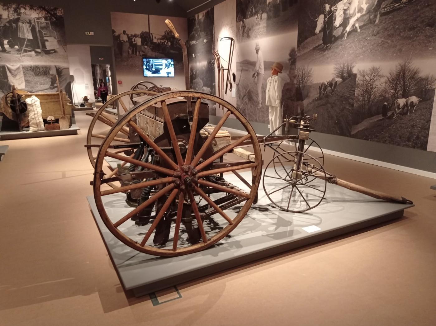 312498275 515205297286772 7631962359977654072 n