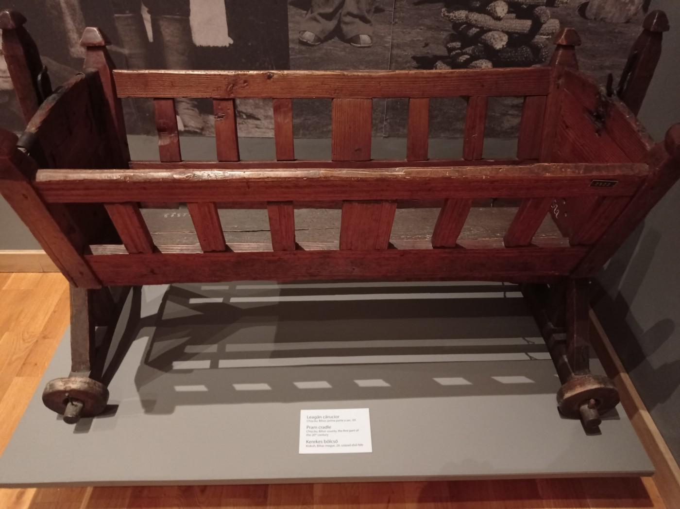 312514812 804503540757514 5482119098235704016 n