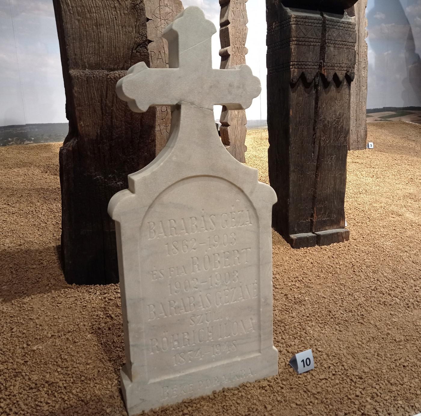 312545047 862482631435088 2474501026615348606 n