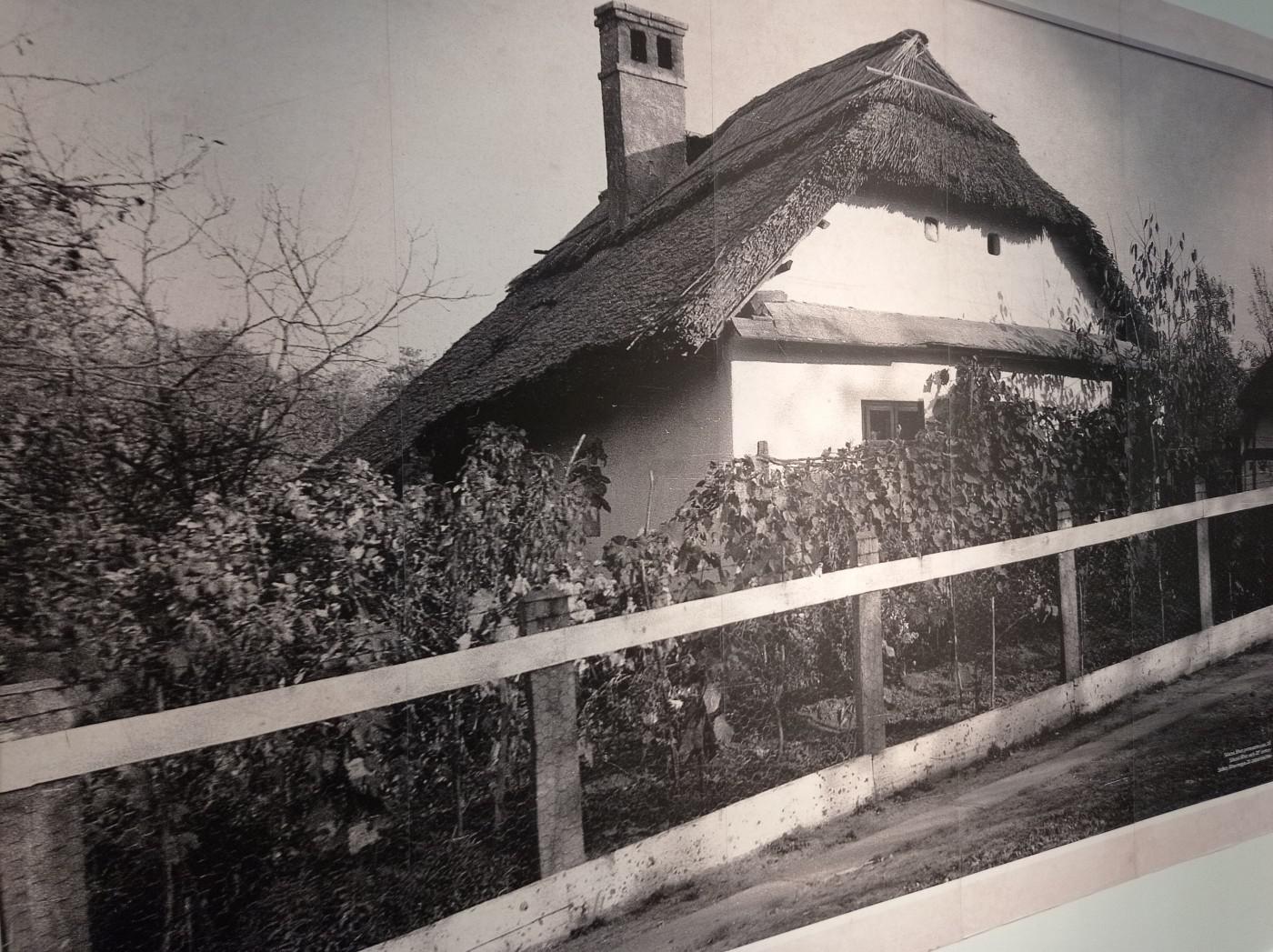 312581566 1296270067798709 2950924191610671978 n