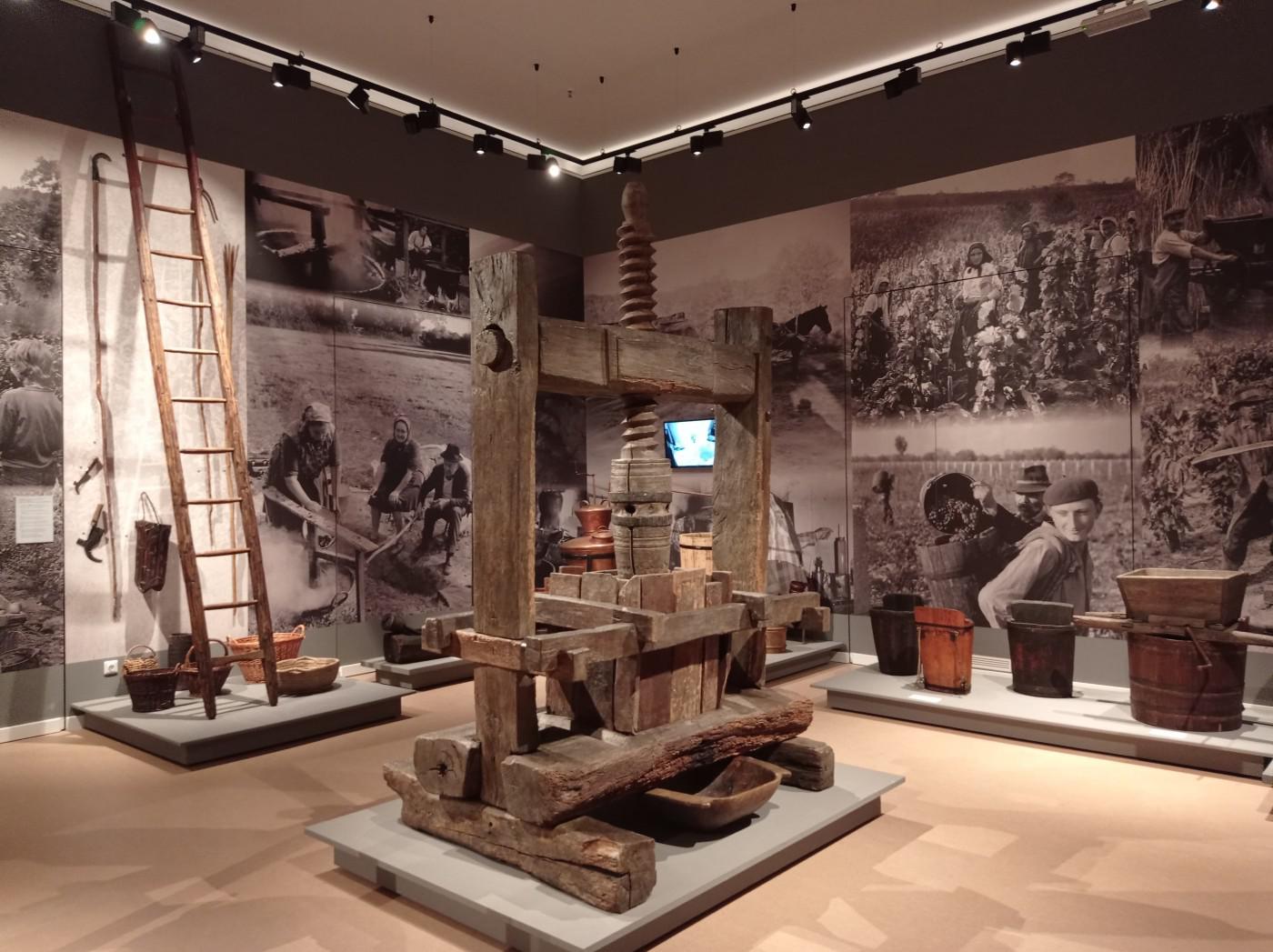 312585689 878859379719809 5819678928705513165 n