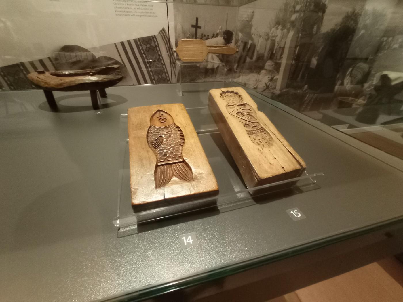 312649718 1117138802266904 3511084157156967361 n