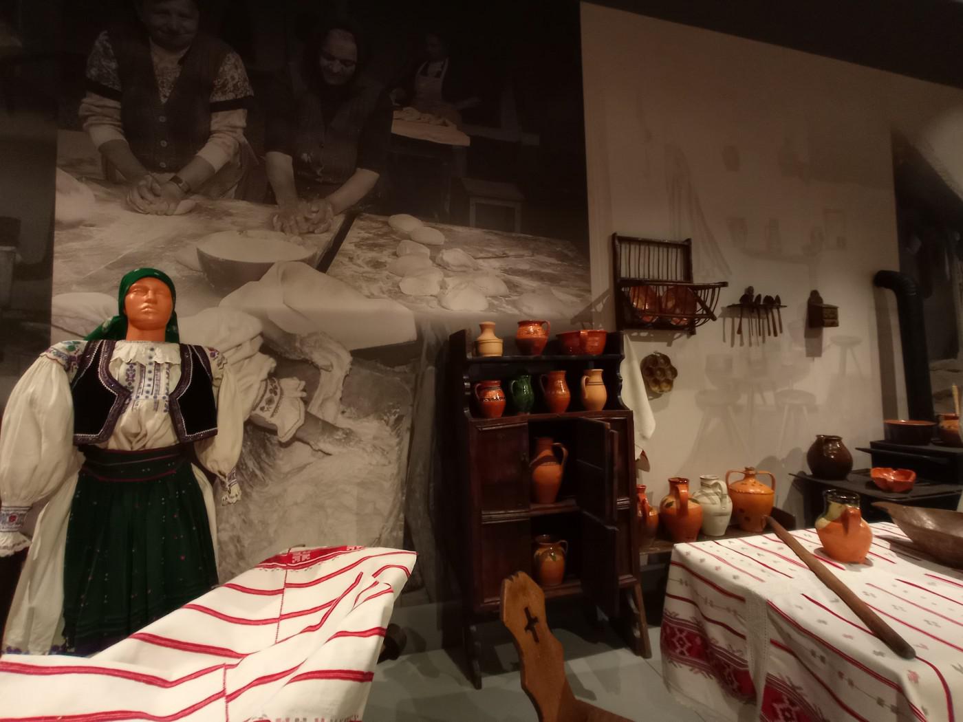 312706203 477771341049399 4979819106959903815 n