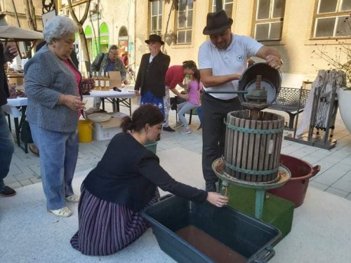 121234463 1500978620102494 4467630492400069038 n