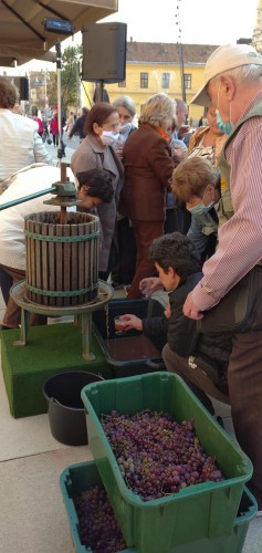 121350354 1500978660102490 8214836039460035271 o