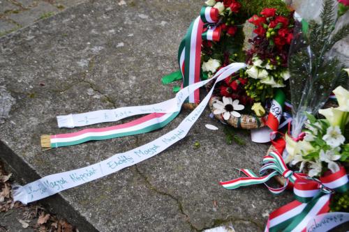 53709935 2313797802172538 1573610110981242880 o