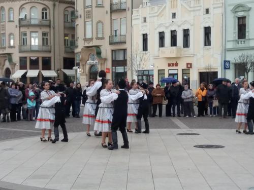 53778695 333784080603711 8260113938692177920 n