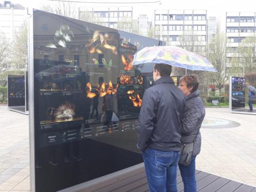 56262403 323765881671050 6885564918951575552 n