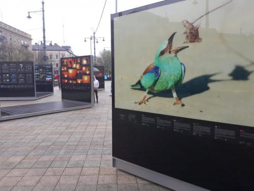 56285293 424636604970794 5391415619956506624 n