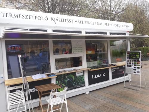 56306774 409245396542890 2296343881584738304 n