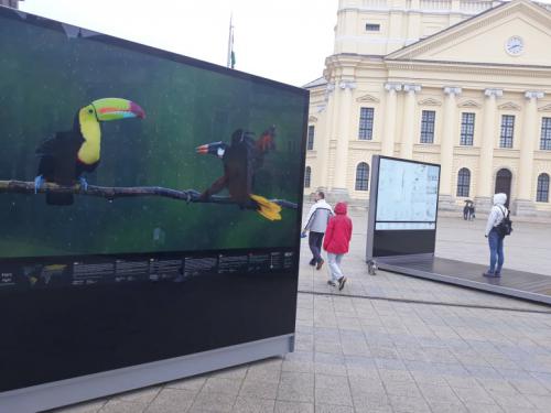 56389383 395663351038948 8258653203134939136 n