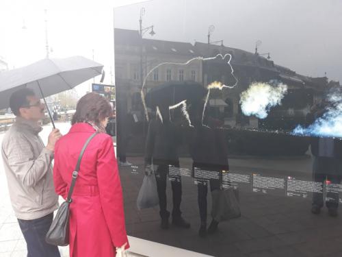 56423408 2376046346012598 7609276640723468288 n