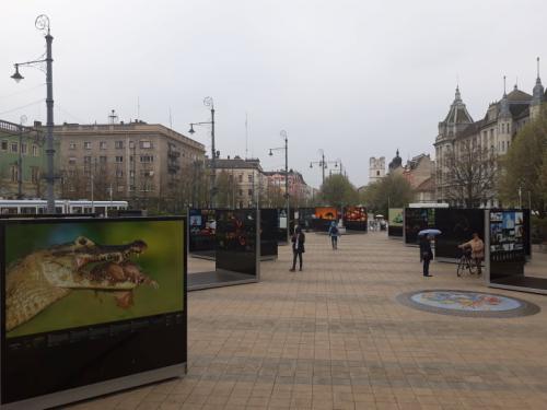 56443007 442351819843785 265466929223827456 n