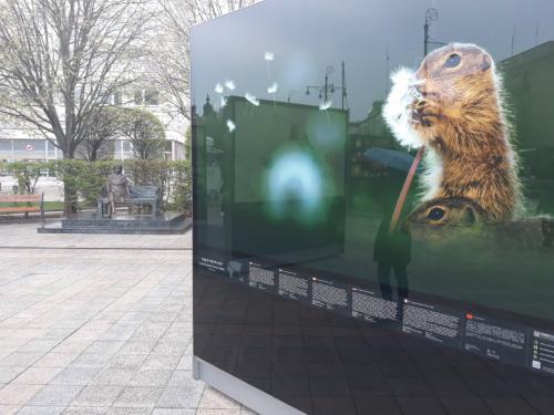 56468283 545104436014577 659544021311422464 n