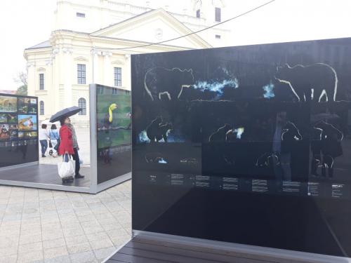 56490468 2125423347524201 2903457278608801792 n