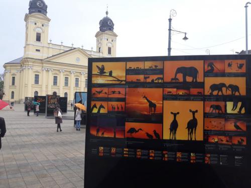 56526694 680601642357524 6084666505952231424 n