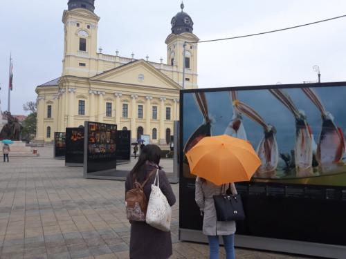 56652944 351449535485727 6710818118609928192 n