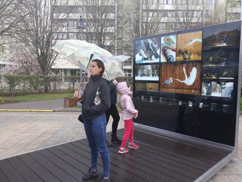 56670180 1280637475433795 7120287570327502848 n