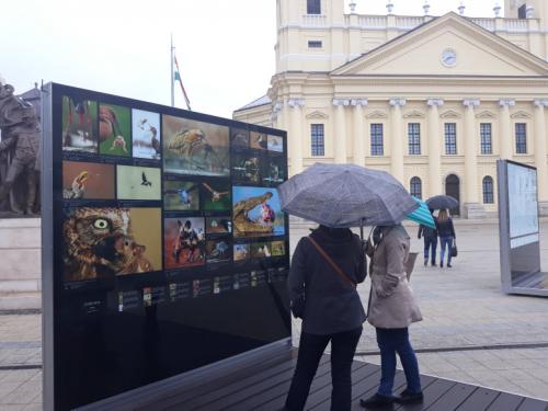 56739348 417305328831757 2526137740160925696 n