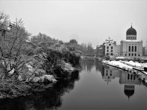 Foto dr. Kiss András -Köröspart télen Malul Crisului iarna