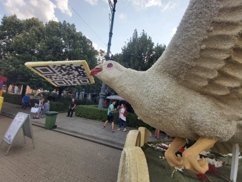 235930364 373779707529334 1076786378975542448 n