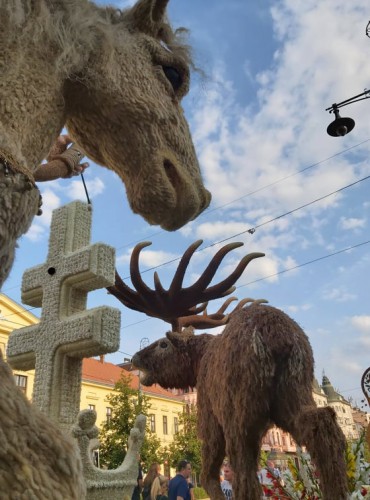 236796291 1516781645337348 1150284211134511420 n