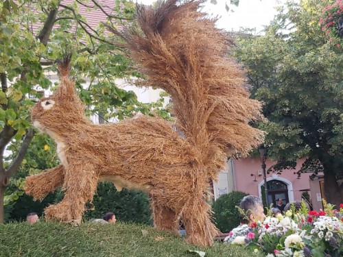 236918714 367168491529222 8624203756230243807 n