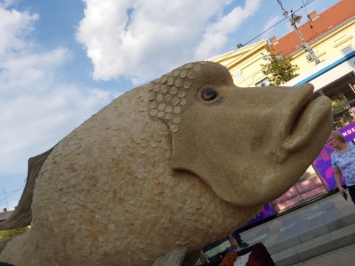 236928001 1214938659005314 6727309089979138912 n