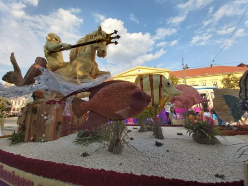 237648788 524411338628435 3587269638453367085 n