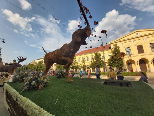 239485759 4243335155792918 7083292662171182953 n