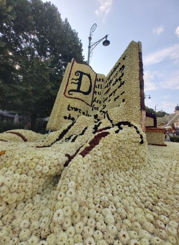 239596515 909739052944907 5142656736787487573 n