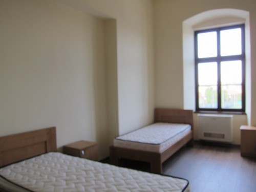 213163307 4834301349914789 6510539899336540209 n